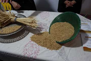 برگزاری ورکشاپ تغذیه با محوریت نان کامل در معاونت بهداشتی