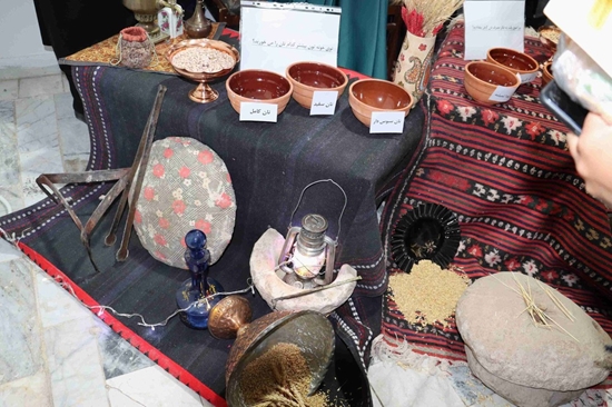 برگزاری ورکشاپ نان کامل در معاونت بهداشتی 25 و 26 آذر1404 