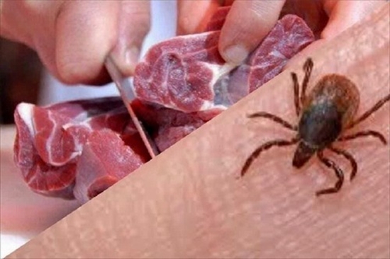 هشدار سرپرست معاونت بهداشتی دانشگاه علوم پزشکی رفسنجان درباره ذبح دام 